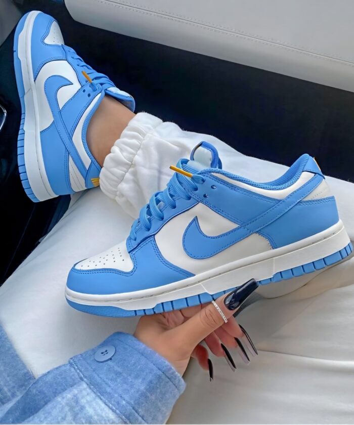 Dunk Low Coast Light Blue White Sneakers
